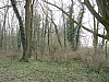 IMG_0819